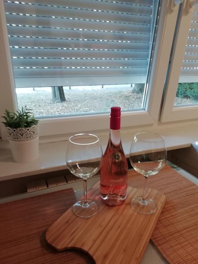 Sarmantni Apartman Malecka 萨格勒布 外观 照片