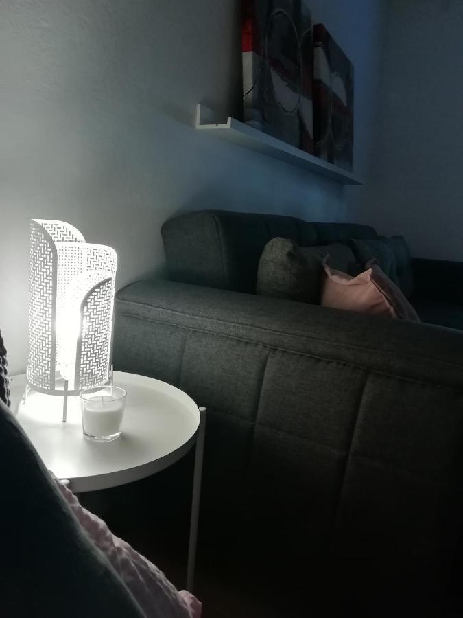 Sarmantni Apartman Malecka 萨格勒布 外观 照片