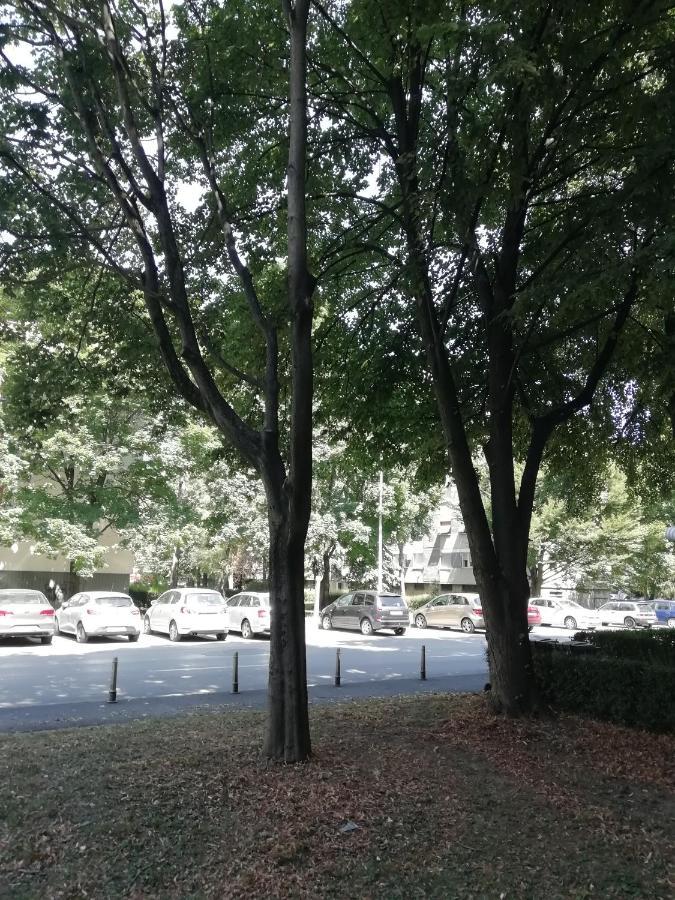Sarmantni Apartman Malecka 萨格勒布 外观 照片